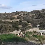 Vigla