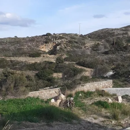 Vigla